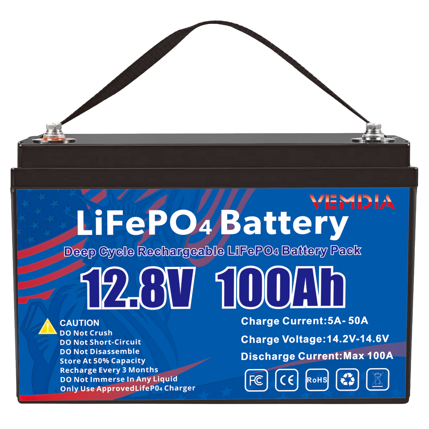 100Ah 12V LiFePO4 Battery Group 31 - Long-Life Lithium with 100A BMS for Solar &amp; RV