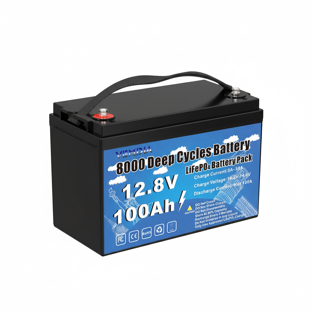 100Ah Lithium Iron Phosphate Battery - Pure White Background