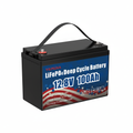 12V 100Ah LiFePO4 Battery Waterproof - Pure White Background