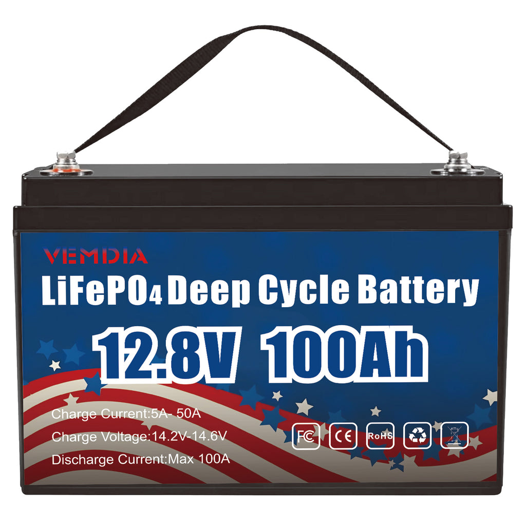 12V 100Ah LiFePO4 Battery - Group 31 Waterproof with 100A BMS for RV &amp; Marine