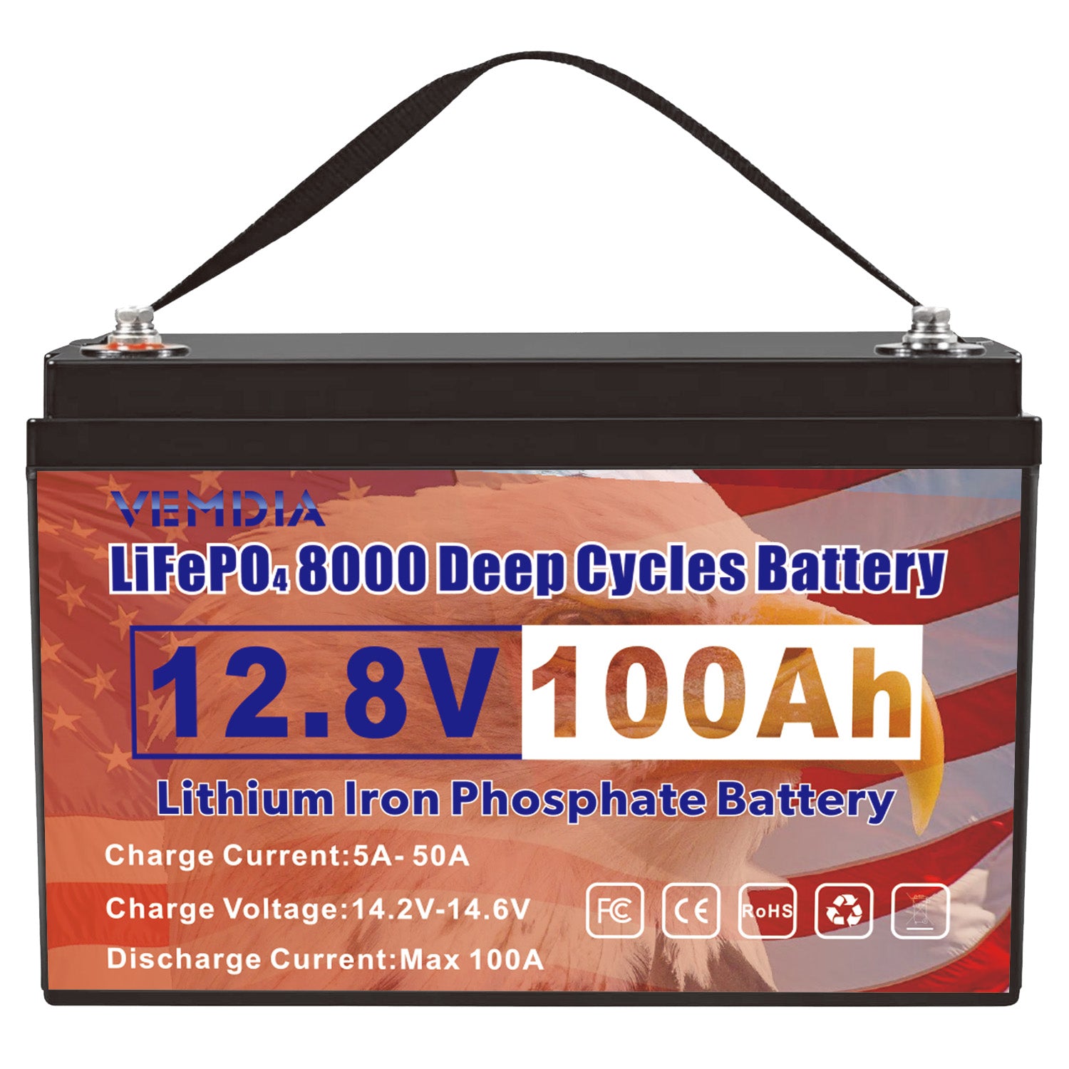 Eco-Friendly 12V 100Ah LiFePO4 Battery - Group 31 Green Energy Solution with 100A BMS