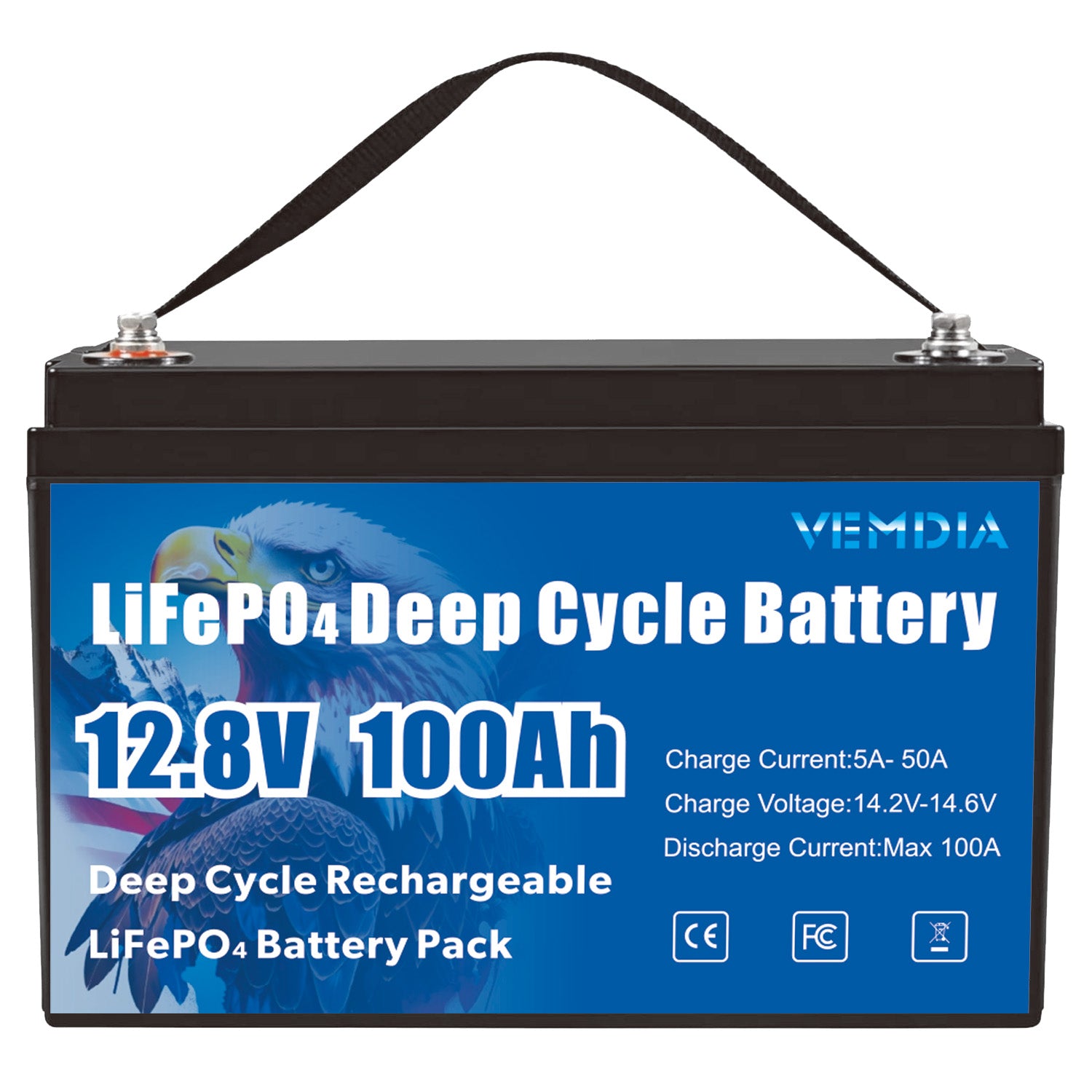 Reliable 12V 100Ah Group 31 LiFePO4 Battery - 8000+ Cycles with 100A BMS Protection