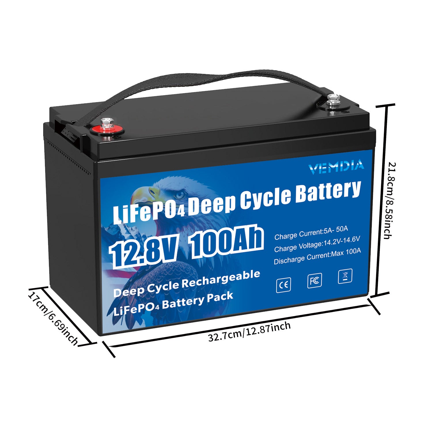 Reliable 12V 100Ah Group 31 LiFePO4 Battery - 8000+ Cycles with 100A BMS Protection