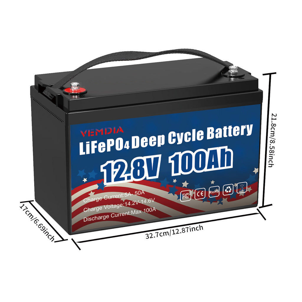 12V 100Ah LiFePO4 Battery - Group 31 Waterproof with 100A BMS for RV &amp; Marine
