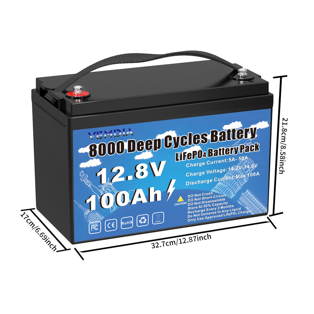 100Ah Lithium Iron Phosphate Battery - 12V Group 31 with Smart BMS for Marine &amp; Off-Grid