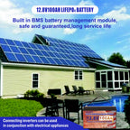Eco-Friendly 12V 100Ah LiFePO4 Battery - Group 31 Green Energy Solution with 100A BMS