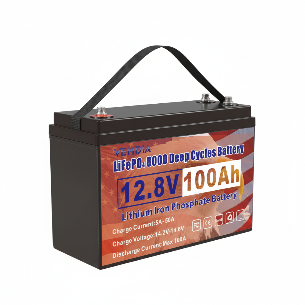 Eco-Friendly 12V 100Ah LiFePO4 Battery - Pure White Background