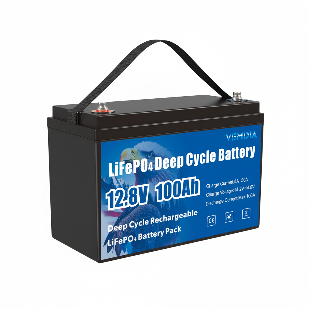 Reliable 12V 100Ah Group 31 LiFePO4 Battery - Pure White Background